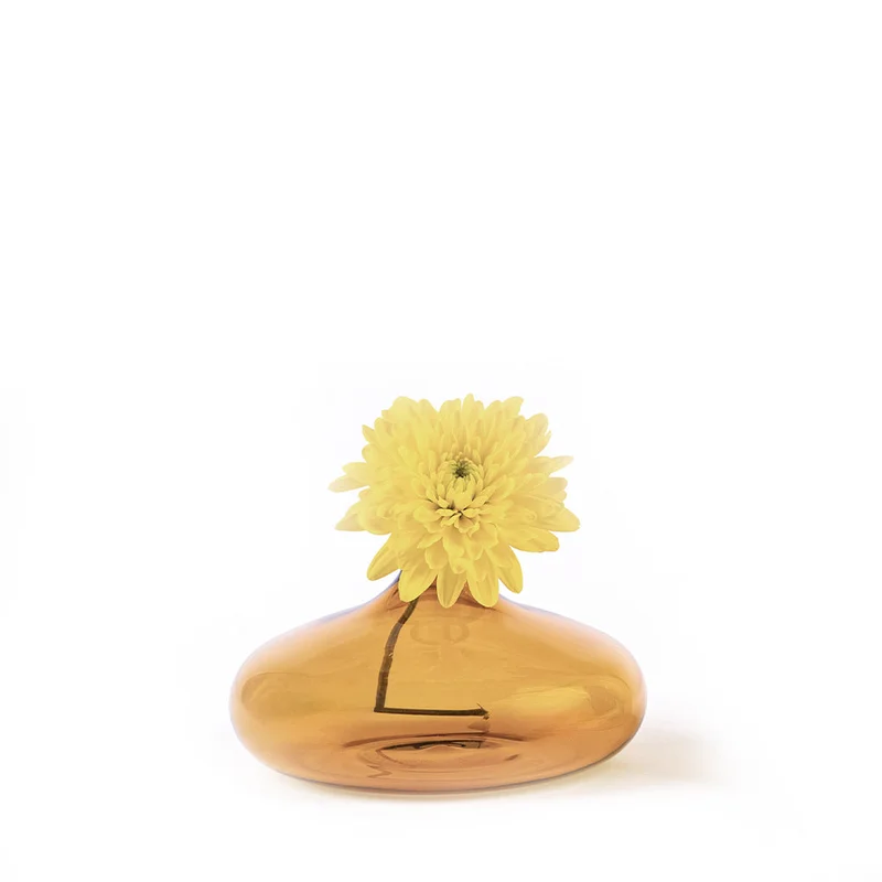 alberoshop3537032