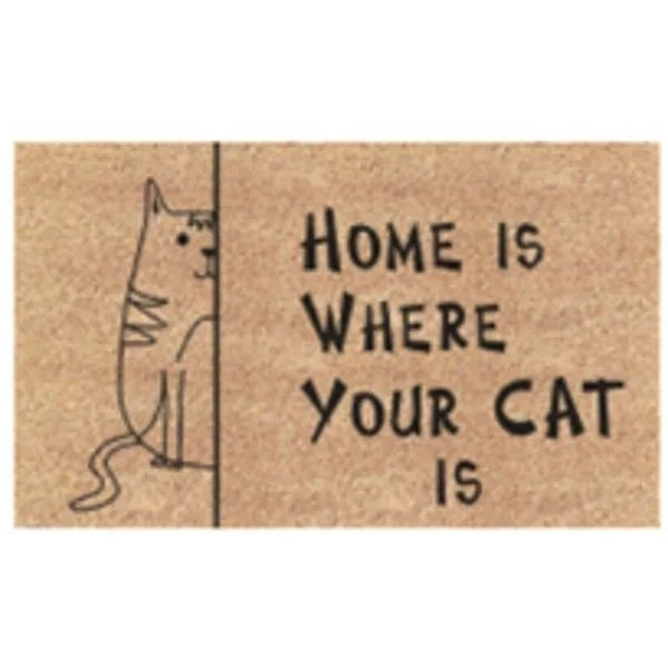 kiwistore148672