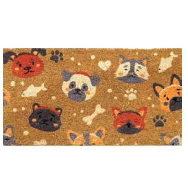 kiwistore148754