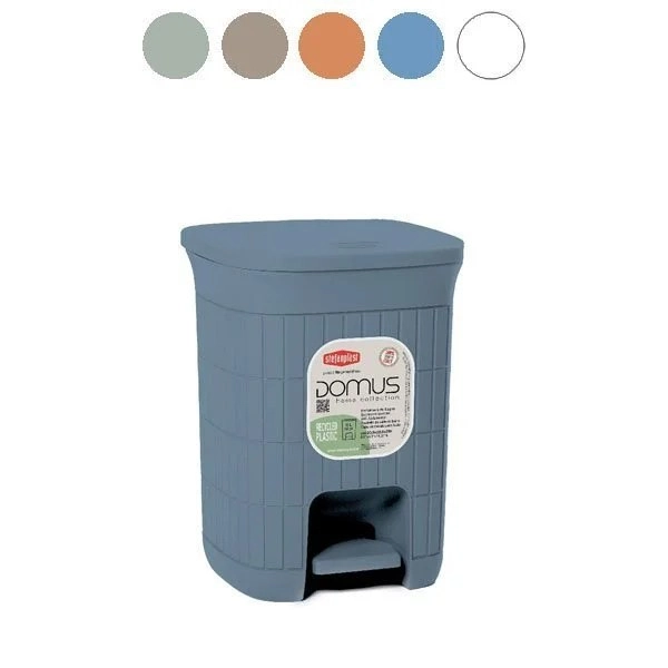 kiwistore153864
