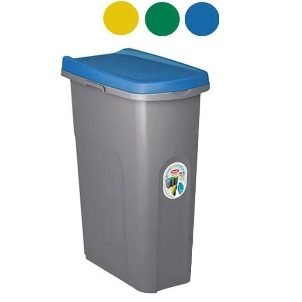 kiwistore155409