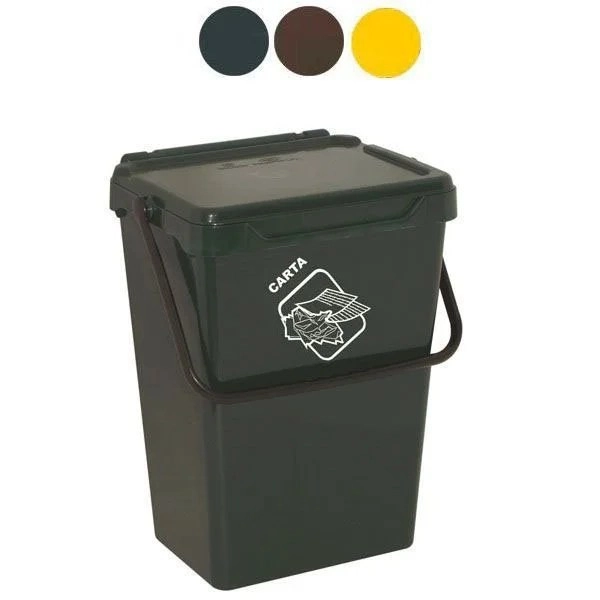 kiwistore155877