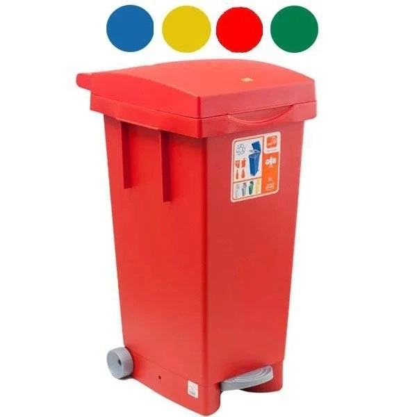 kiwistore156025