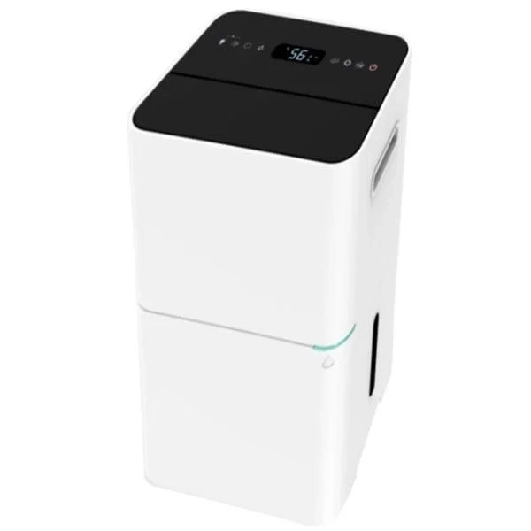 kiwistore158645