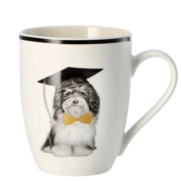 kiwistore173837