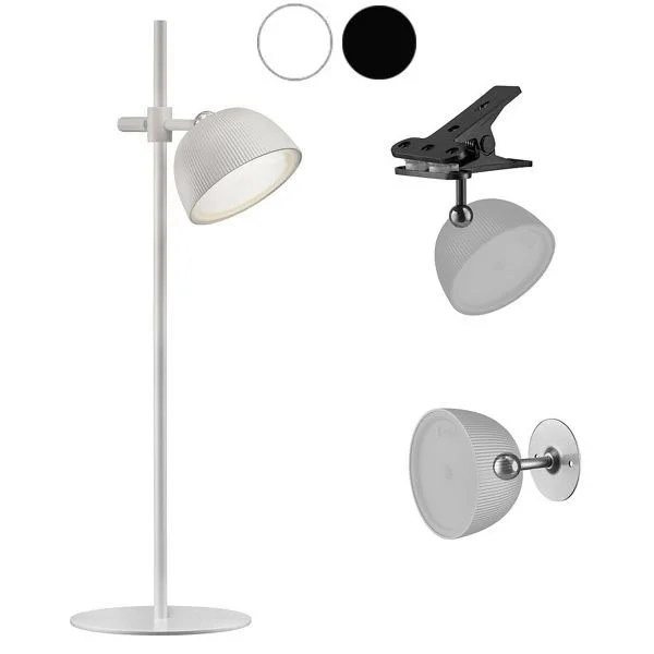 kiwistore190097