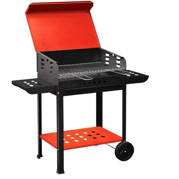 kiwistore206154