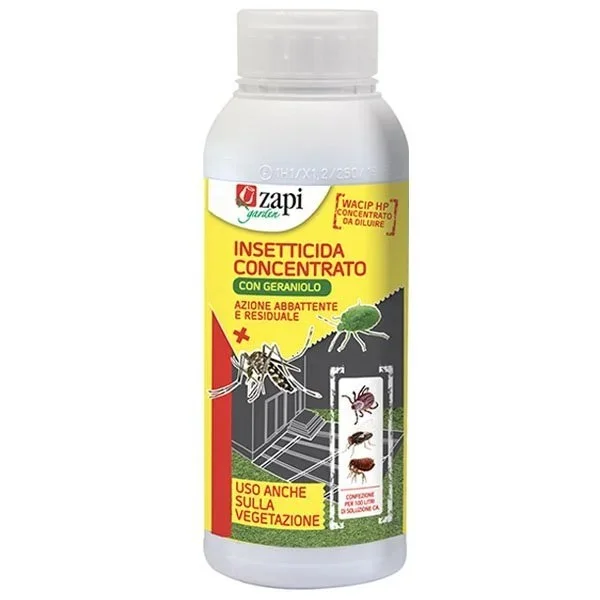 kiwistore213611