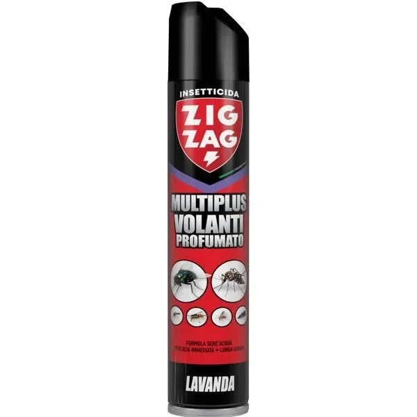 kiwistore213880