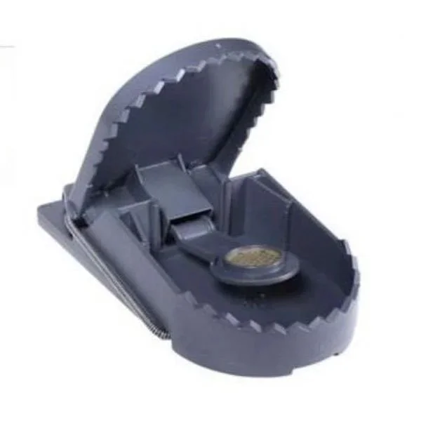 kiwistore215770