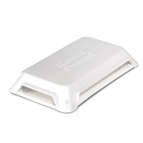 kiwistore216431