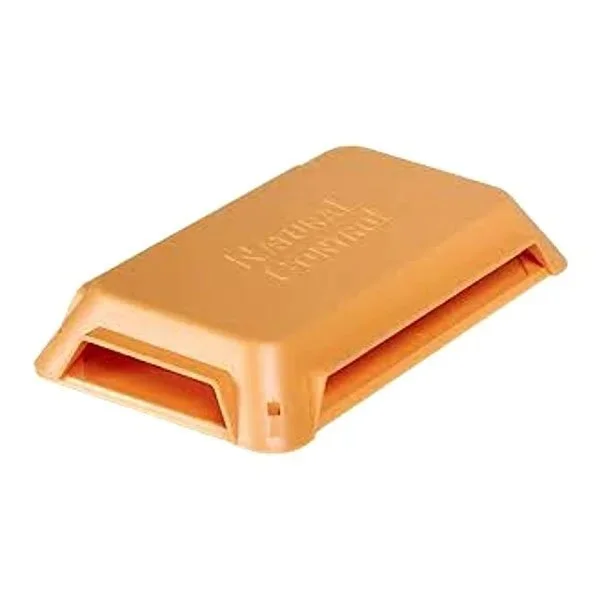 kiwistore216447