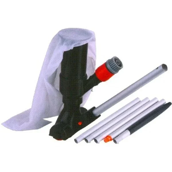 kiwistore218541