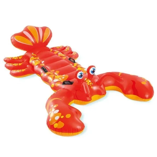 kiwistore219697