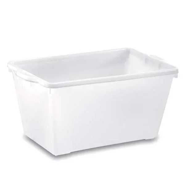kiwistore229537
