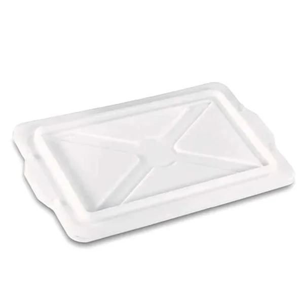 kiwistore229570