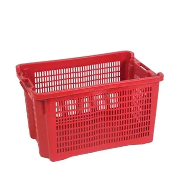 kiwistore232988