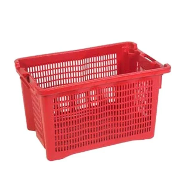 kiwistore233004