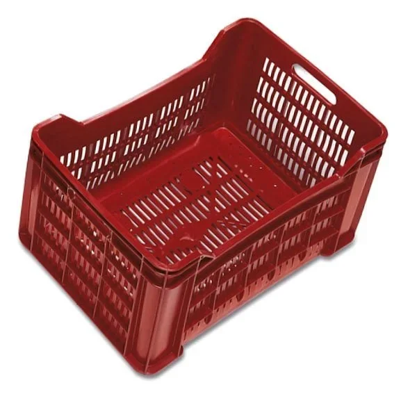 kiwistore233357