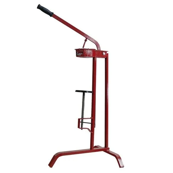 kiwistore235094