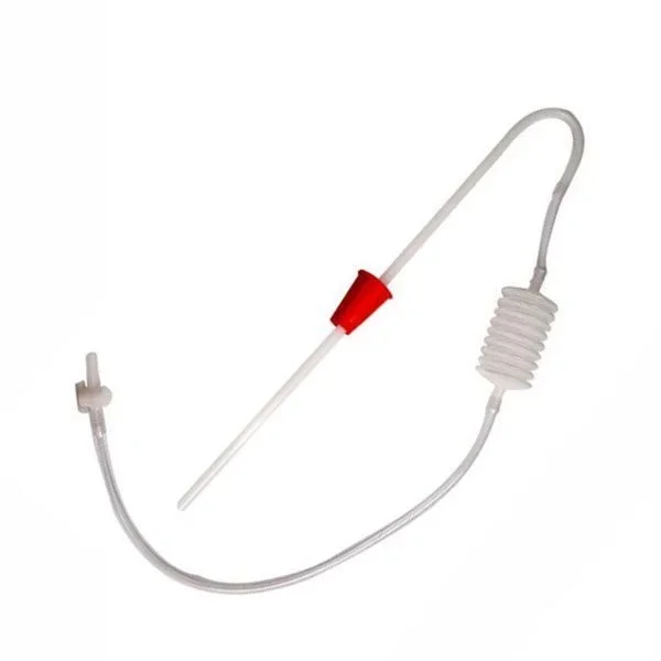 kiwistore235826