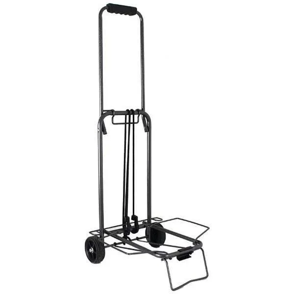 kiwistore238968