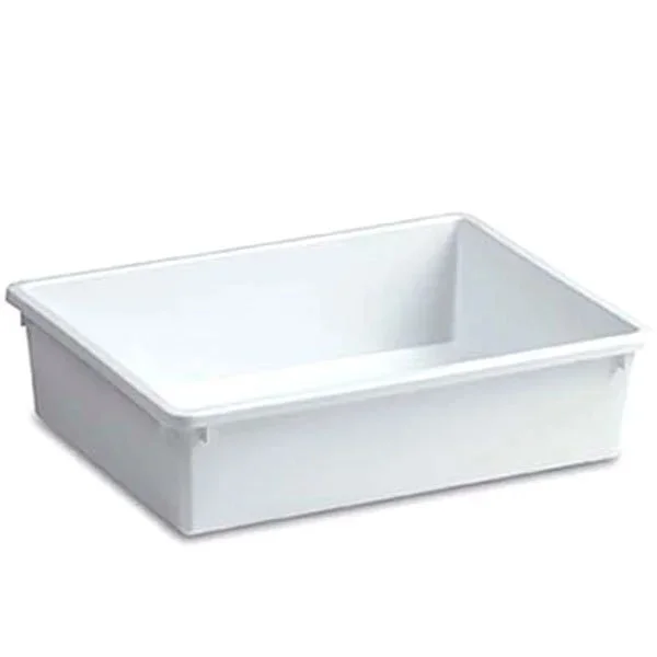 kiwistore242555