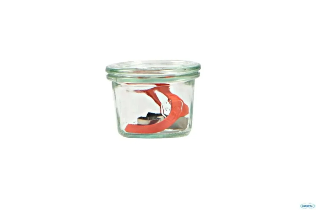 kiwistore3503816