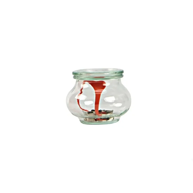 kiwistore3503904