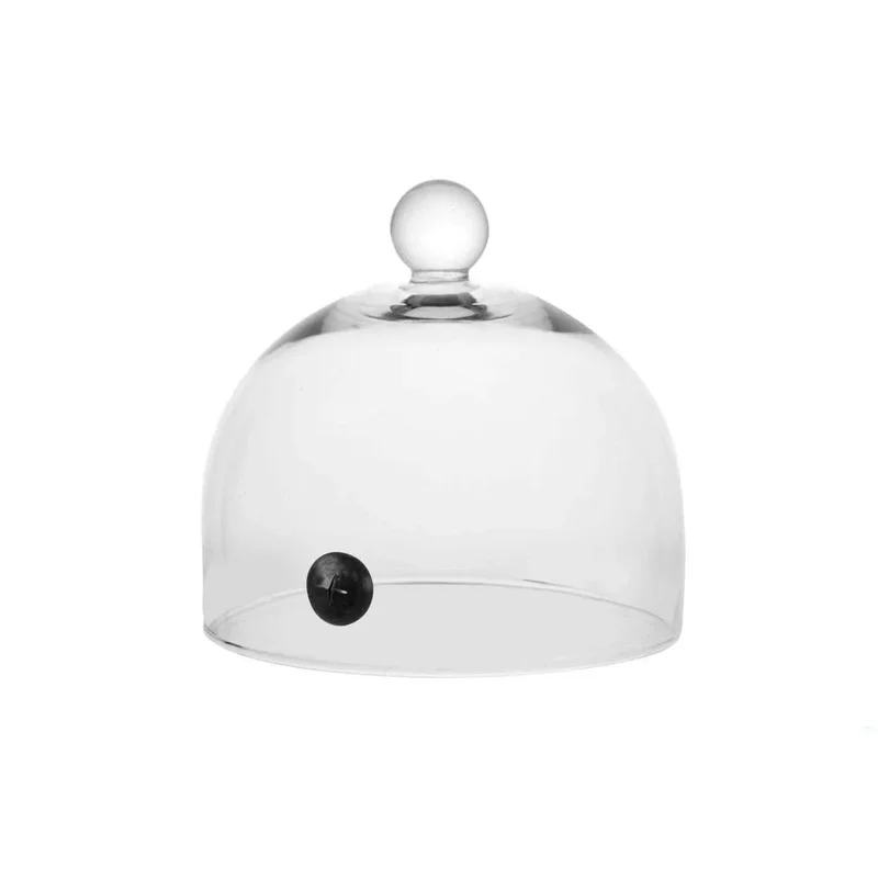 kiwistore3645545