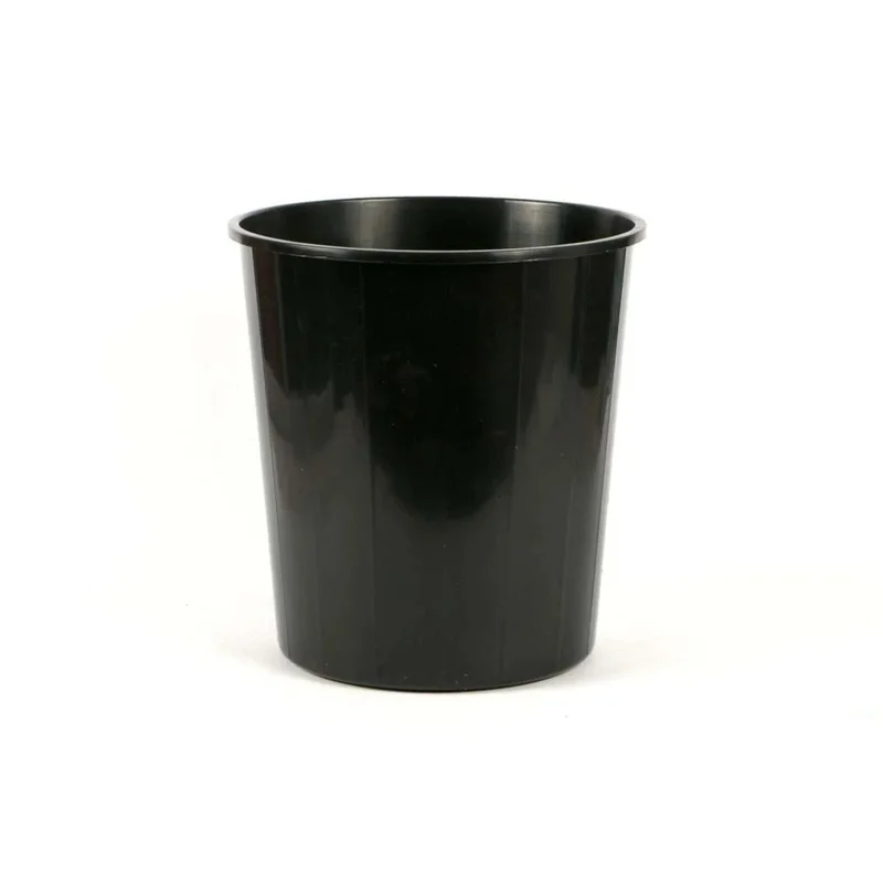 kiwistore3647914