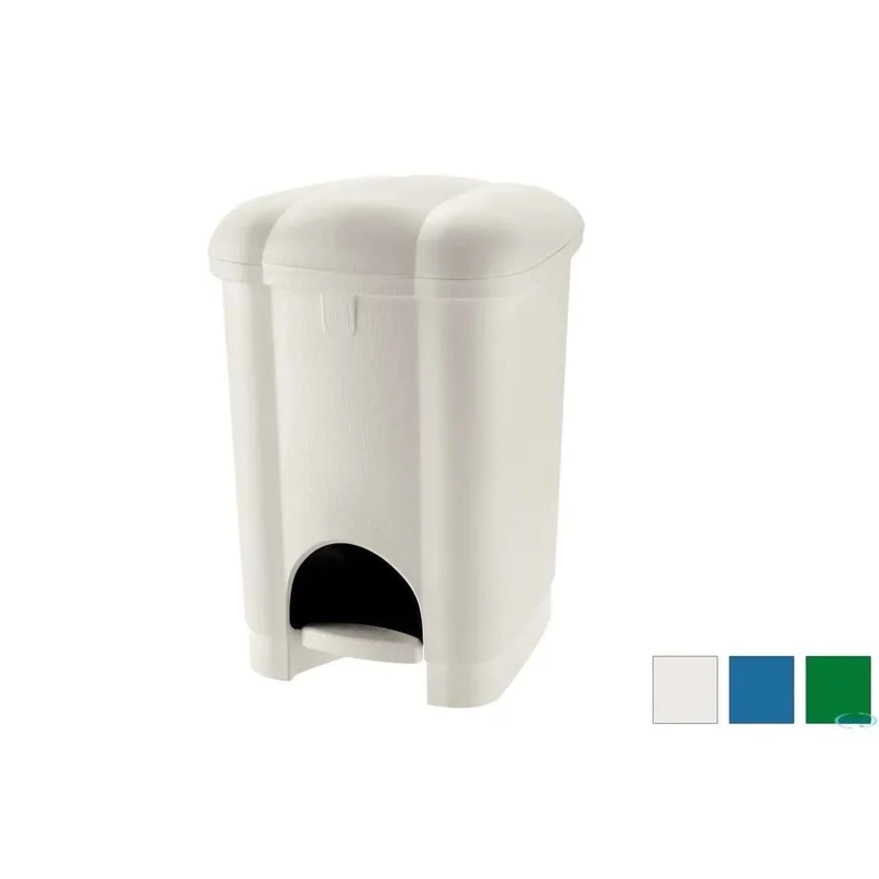 kiwistore3652930