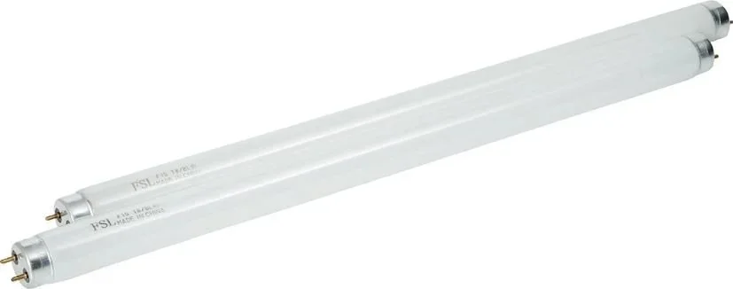 kiwistore3751641