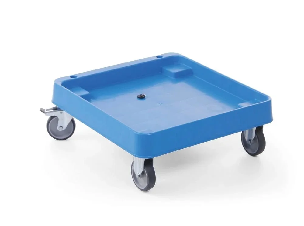 kiwistore3757680