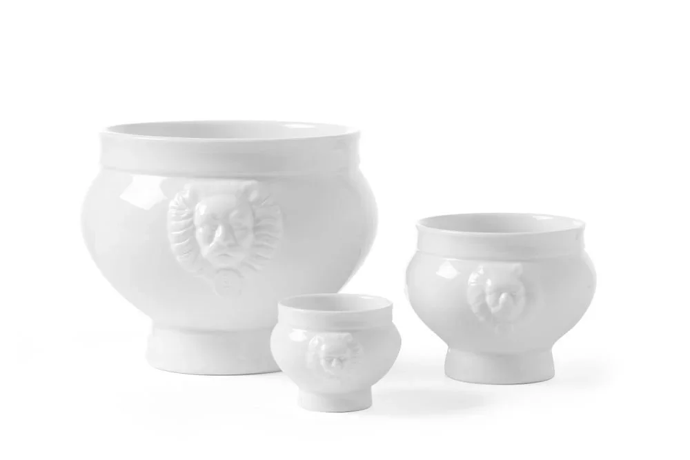 kiwistore3760994