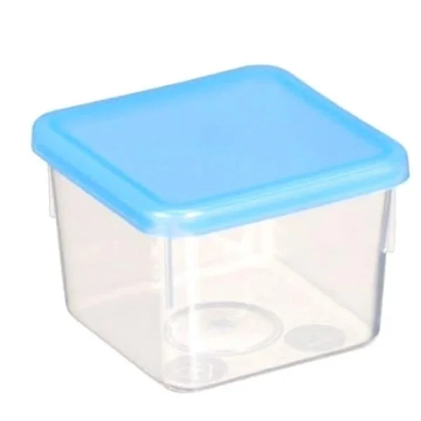 kiwistore3787895